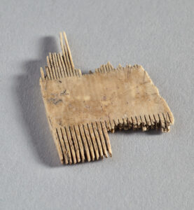 Princess Nest’s Comb